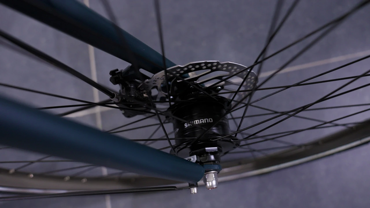 Gazelle Esprit Belt 2025