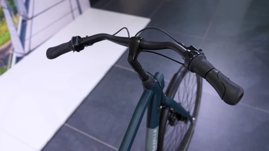 Gazelle Esprit Belt 2025