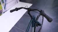 Gazelle Esprit Belt 2025