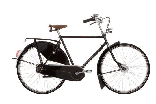 Gazelle Tour Populair RT7 2024