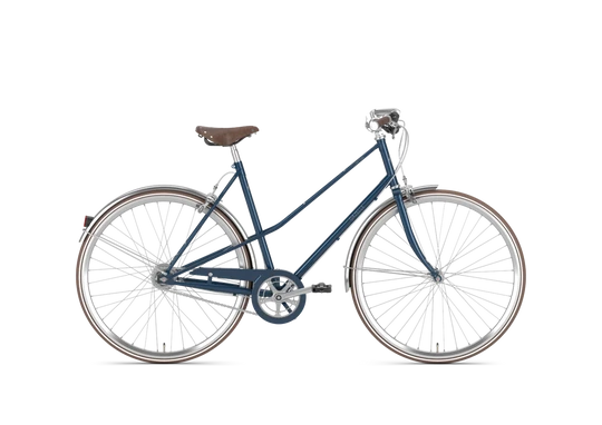 Gazelle Van Stael 2024