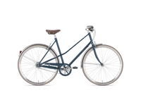 Gazelle Van Stael 2024