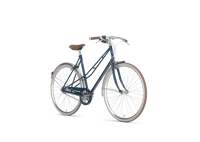 Gazelle Van Stael 2024