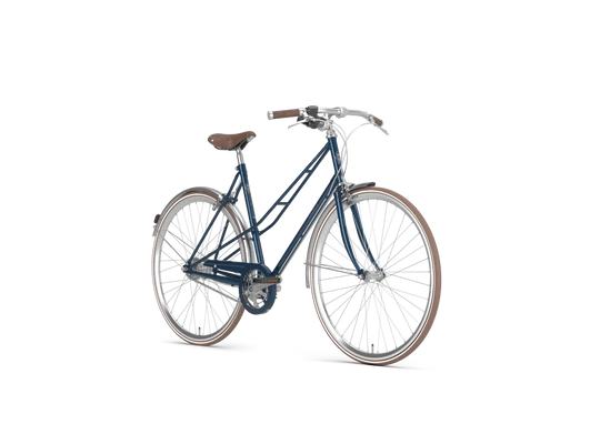Gazelle Van Stael 2024