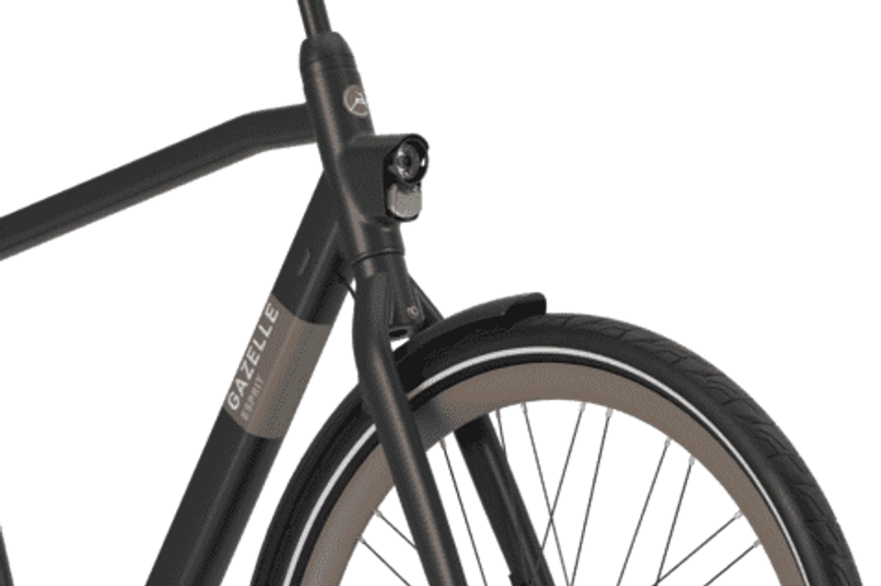 Gazelle Esprit R1 2025