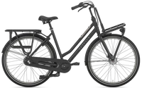 Gazelle HeavyDutyNL T3 2024