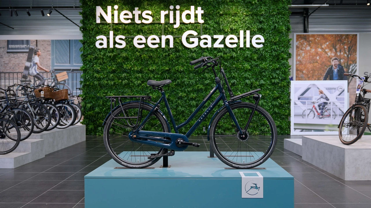 Gazelle HeavyDutyNL T7 2025