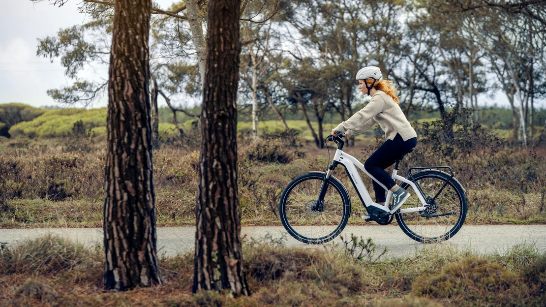 Riese & müller elektrische fietsen