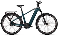 Kalkhoff Entice 5+ Advance Belt 2025