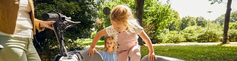 Batavus fier2 vs gazelle makki load