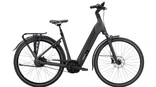 Koga Evia Pro DS 2025