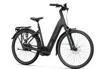Koga Evia Pro DS 2025