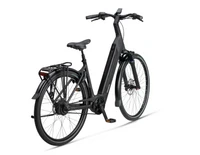 Koga Evia Pro DS 2025