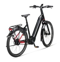 Koga Pace B10 2024