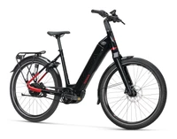 Koga Pace B10 2024