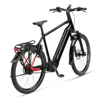 Pace B10 Suspension 2025