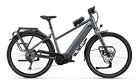 Koga E-Worldtraveller Rigid 2025