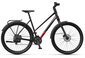 Koga F3 5.0 2023