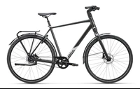 Koga F3 6.0 2024