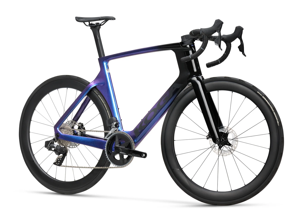 Koga Kinsei Premium 2025