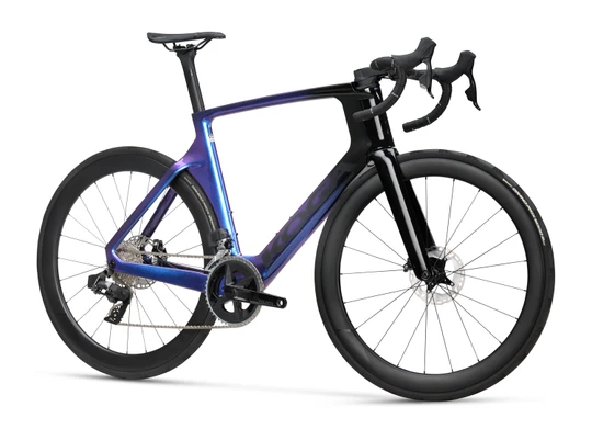 Koga Kinsei Premium 2025