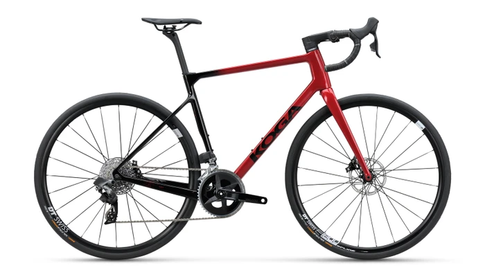 Koga Roqa Premium 2025