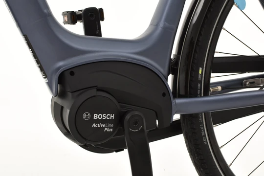 Pegasus Siena E7F Plus Disc 2022