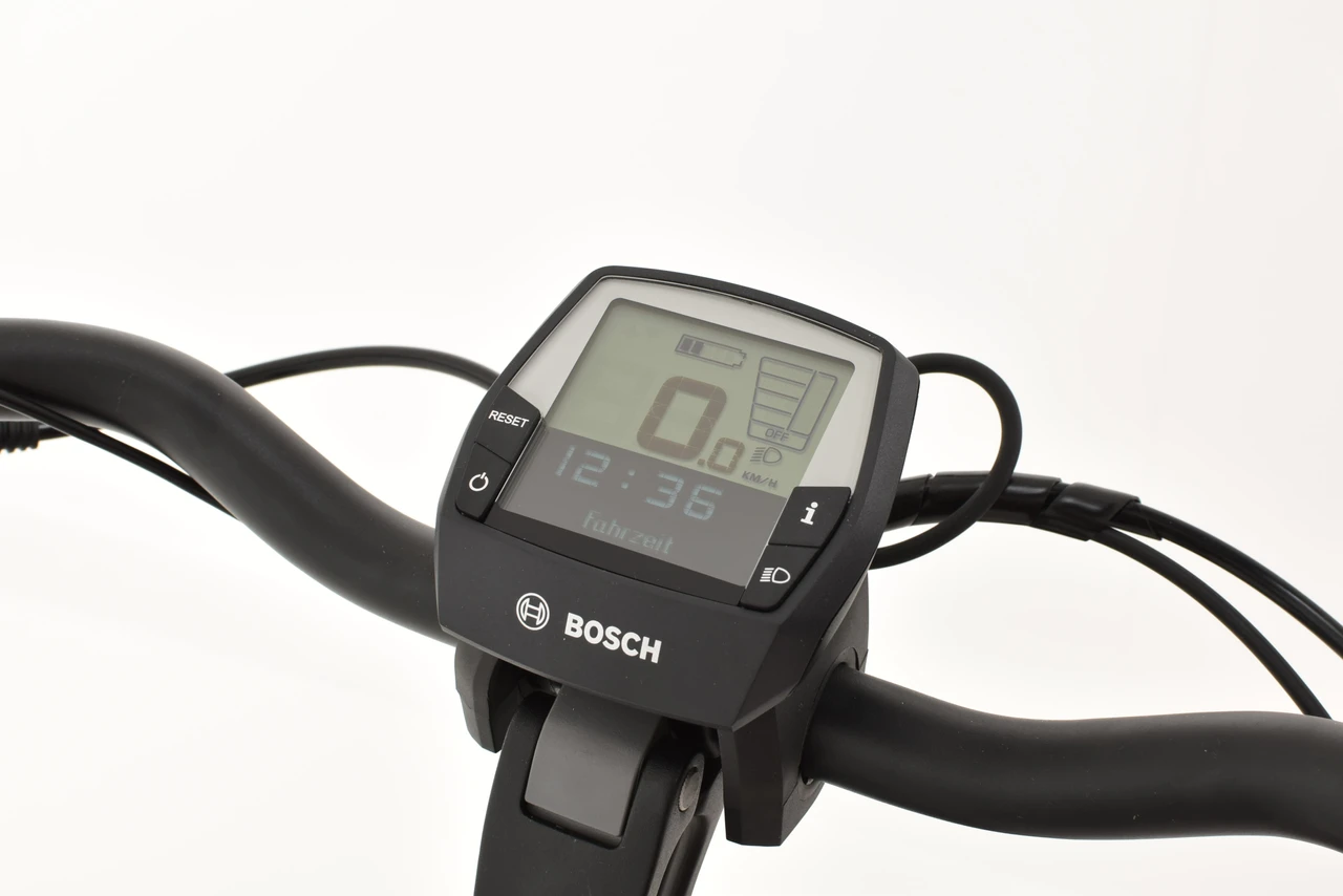 Pegasus Siena E7F Plus Disc 2022