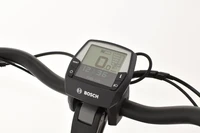Pegasus Siena E7F Plus Disc 2022