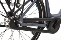 Pegasus Siena E7F Plus Disc 2022