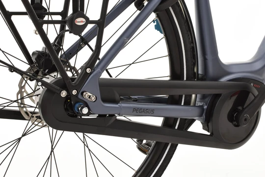 Pegasus Siena E7F Plus Disc 2022