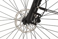 Pegasus Siena E7F Plus Disc 2022