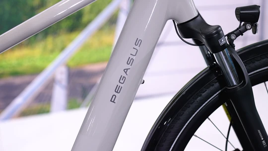 Pegasus Siena E8F Belt 2025 - 500 Wh