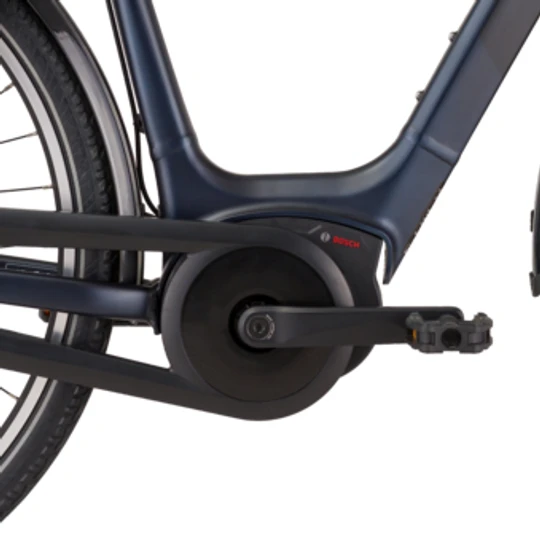 Pegasus Siena E7F Plus Disc 2022