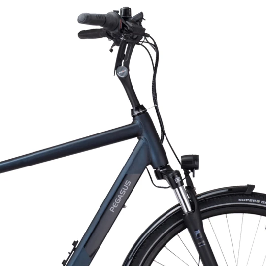 Pegasus Siena E7F Plus Disc 2022