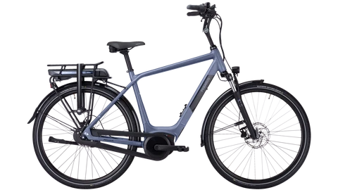 Pegasus Siena E7F Plus Disc 2022