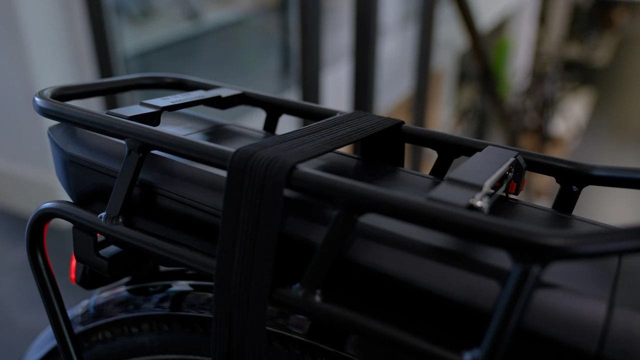 Pegasus Siena E7F Belt 2024