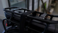 Pegasus Siena E7F Belt 2024