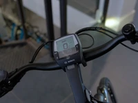 Pegasus Siena E7F Belt 2024