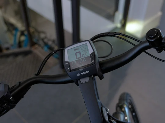 Pegasus Siena E7F Belt 2024