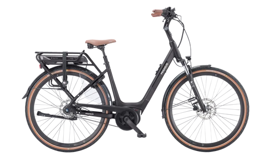 Pegasus Siena E7F Belt 2024
