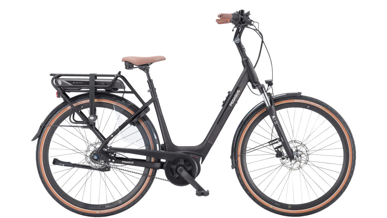 Pegasus Siena E7F Belt 2024