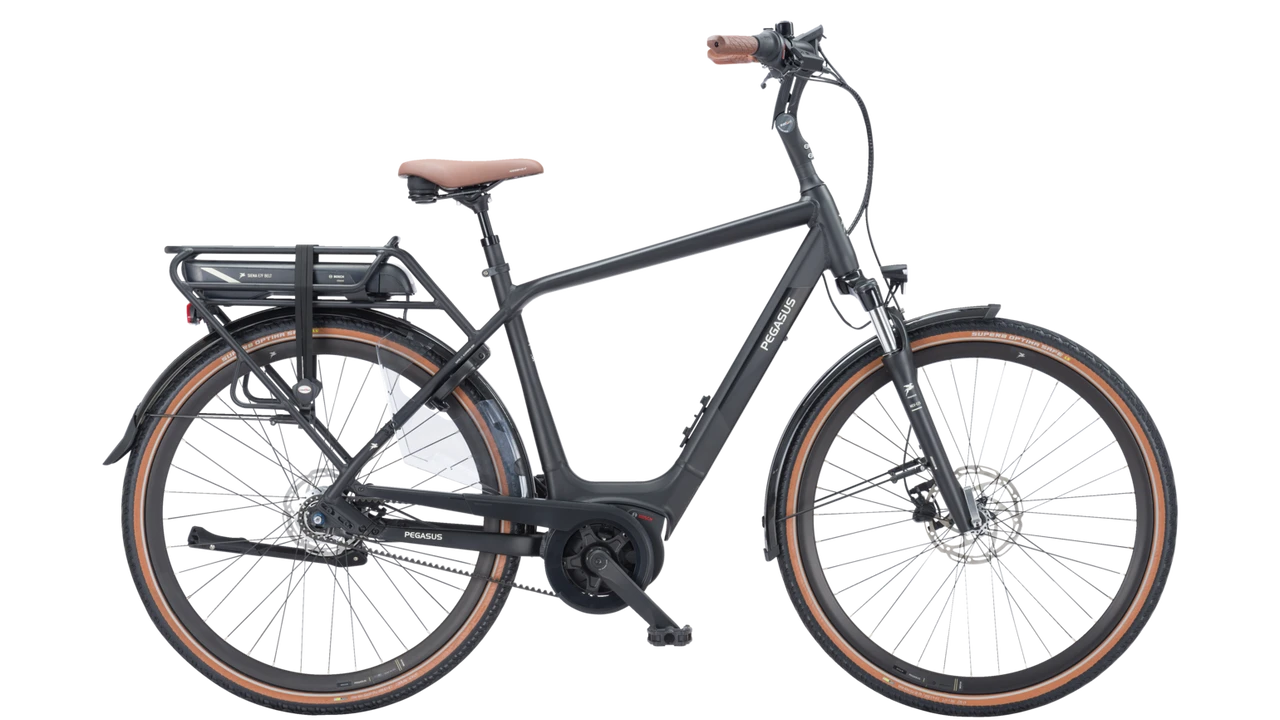 Pegasus Siena E7F Belt 2024