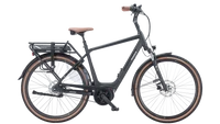 Pegasus Siena E7F Belt 2024