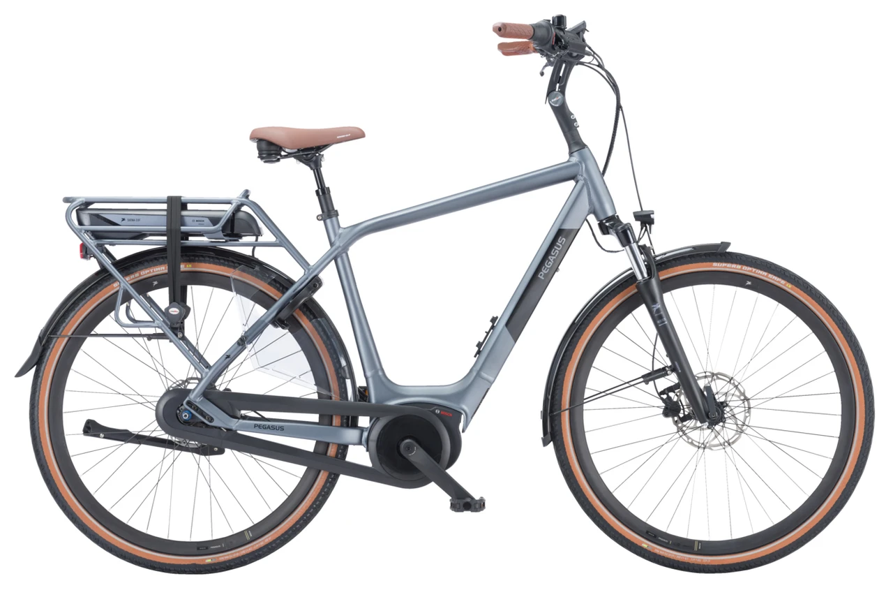Pegasus Siena E8F 2024 - Heren