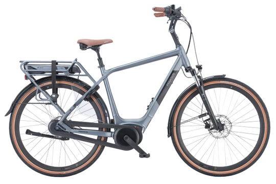 Pegasus Siena E8F 2024 - Heren