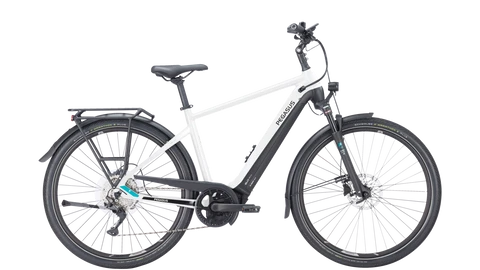 Pegasus Premio EVO 10 Lite 2024