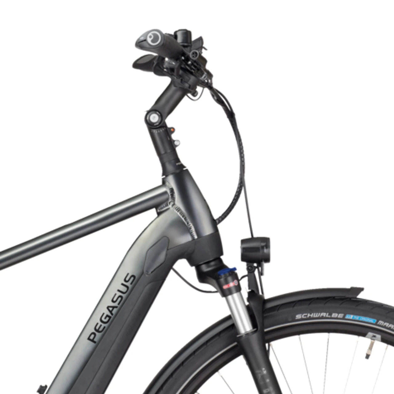 Pegasus Premio Evo 10 Lite 2022