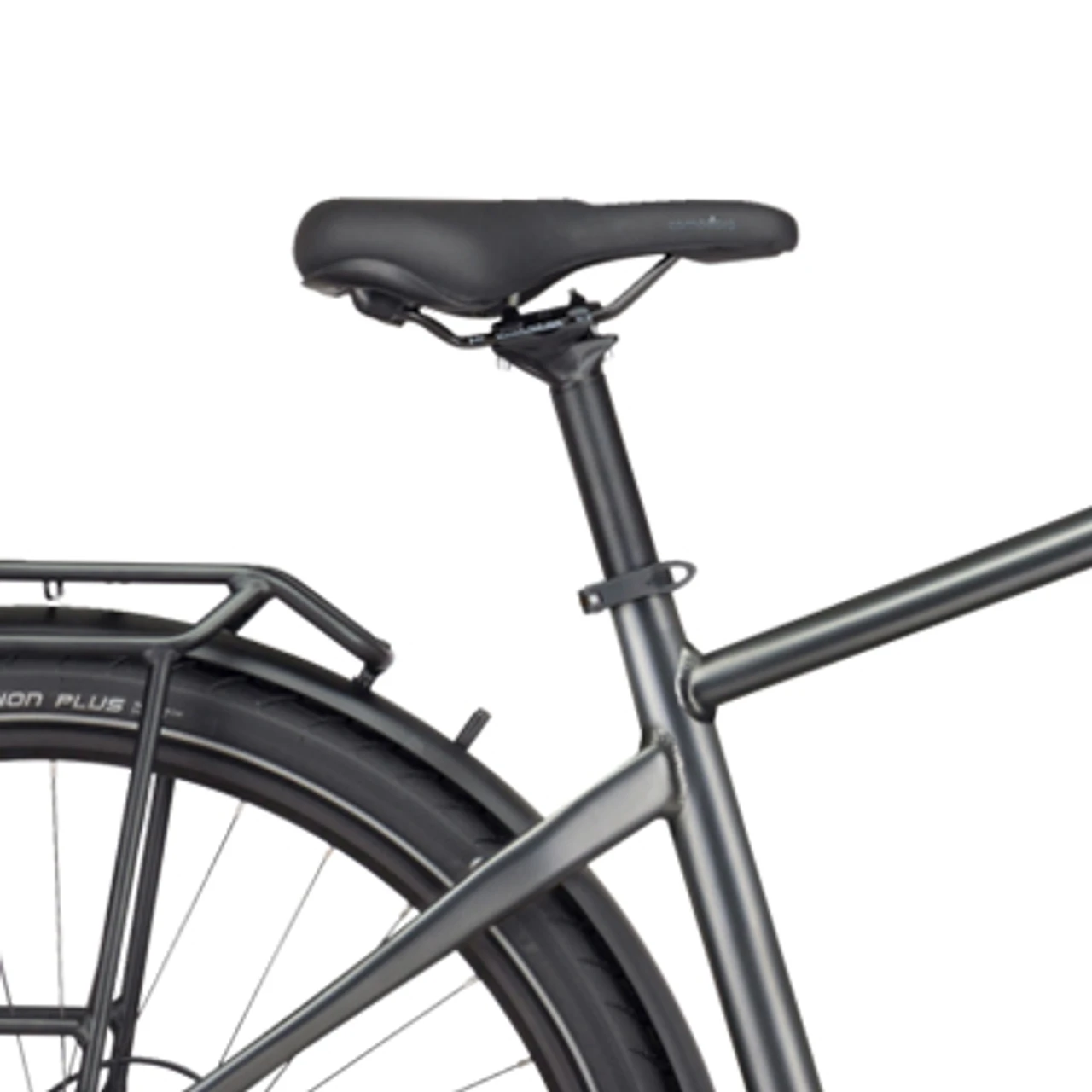 Pegasus Premio Evo 10 Lite 2022
