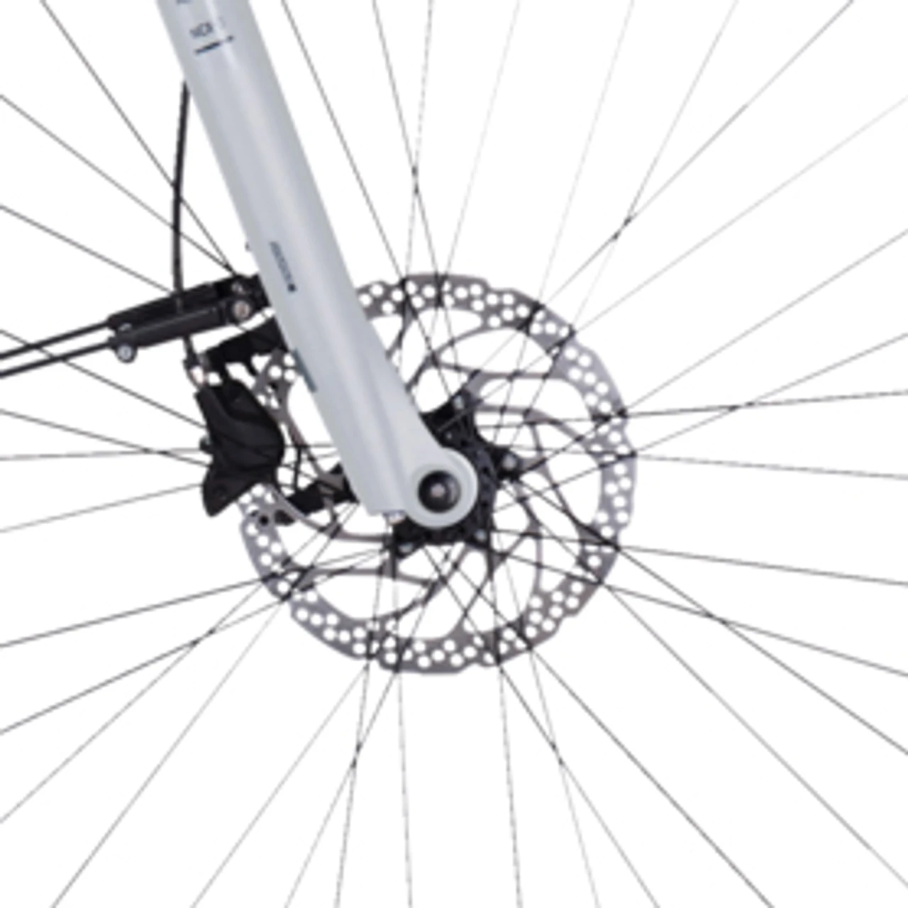 Pegasus Premio Evo 10 Lite 2022